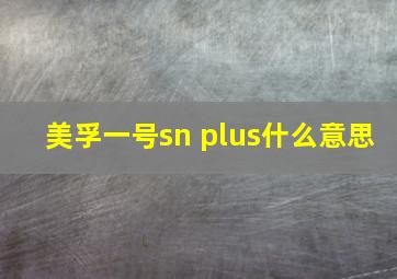 美孚一号sn plus什么意思